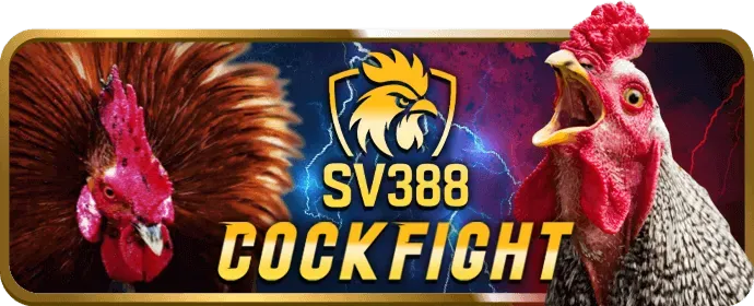 Trận đấu bóng đá sôi động trên sv66 app